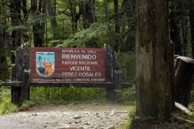 Vicente Pérez Rosales: El Parque Nacional Más Antiguo De Chile - Diario ...