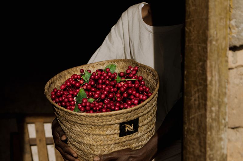 Nespresso: Una Taza De Café Con Impacto Positivo Certificada Como ...